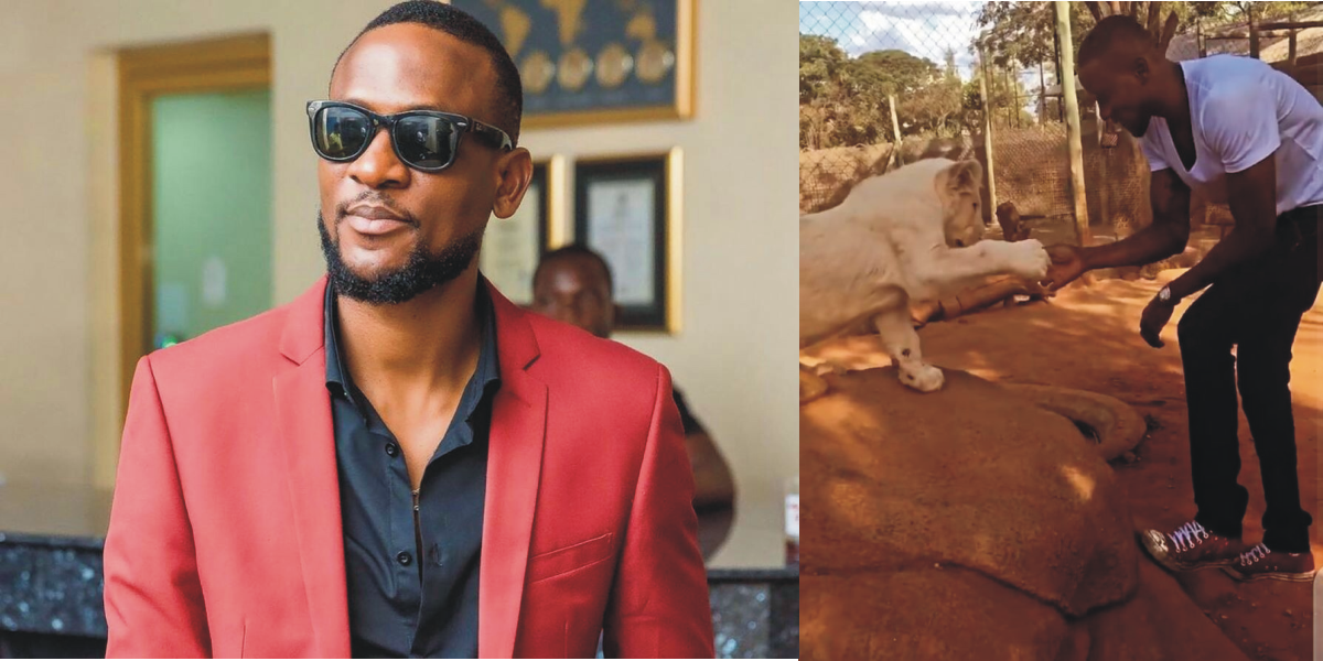 “Your Rough Play Too Much Bro” – Netizens React As Omashola Plays And Exchange Handshake With A Lion