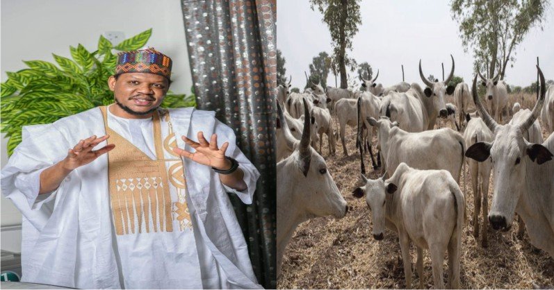 "Cows Alone Can Solve All Northen Problems"– Former Presidential Aspirant, Adamu Garba