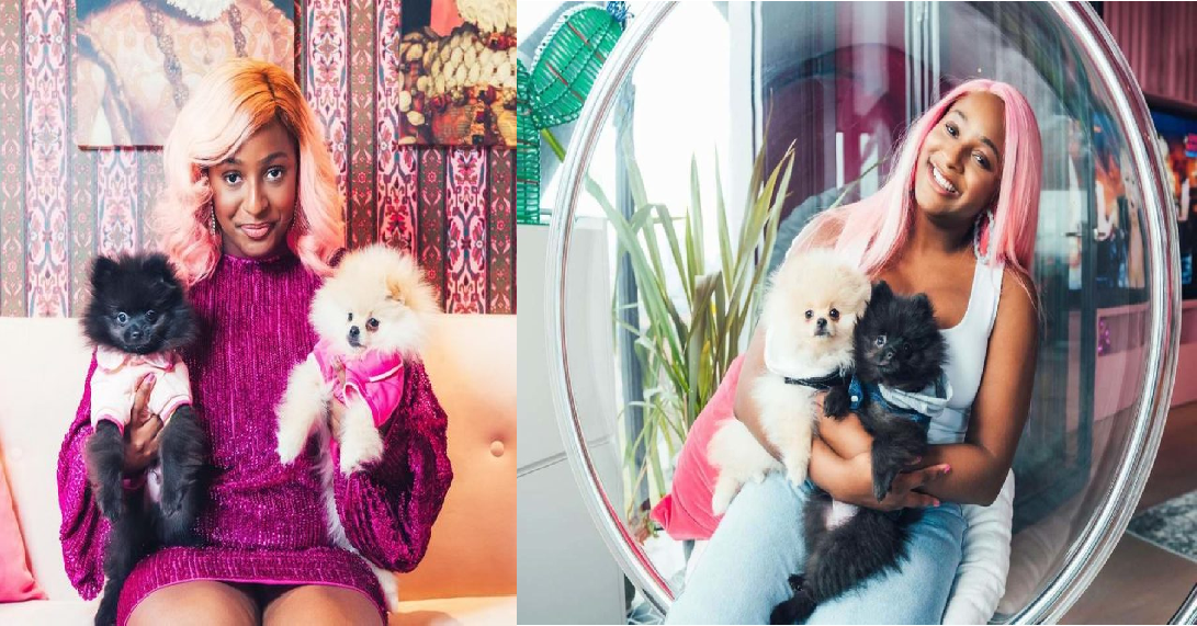 “If my dogs doesn’t like you, we can’t date” – DJ Cuppy Reveals