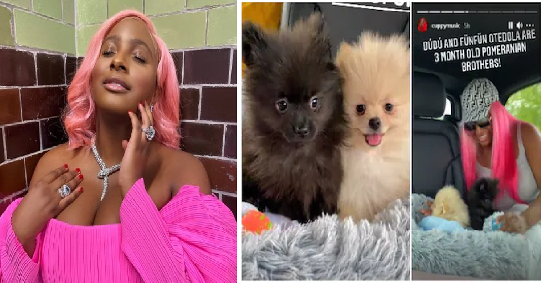 "They need to get dyed pink!": Fans React As DJ Cuppy Shows Off Her New Dogs