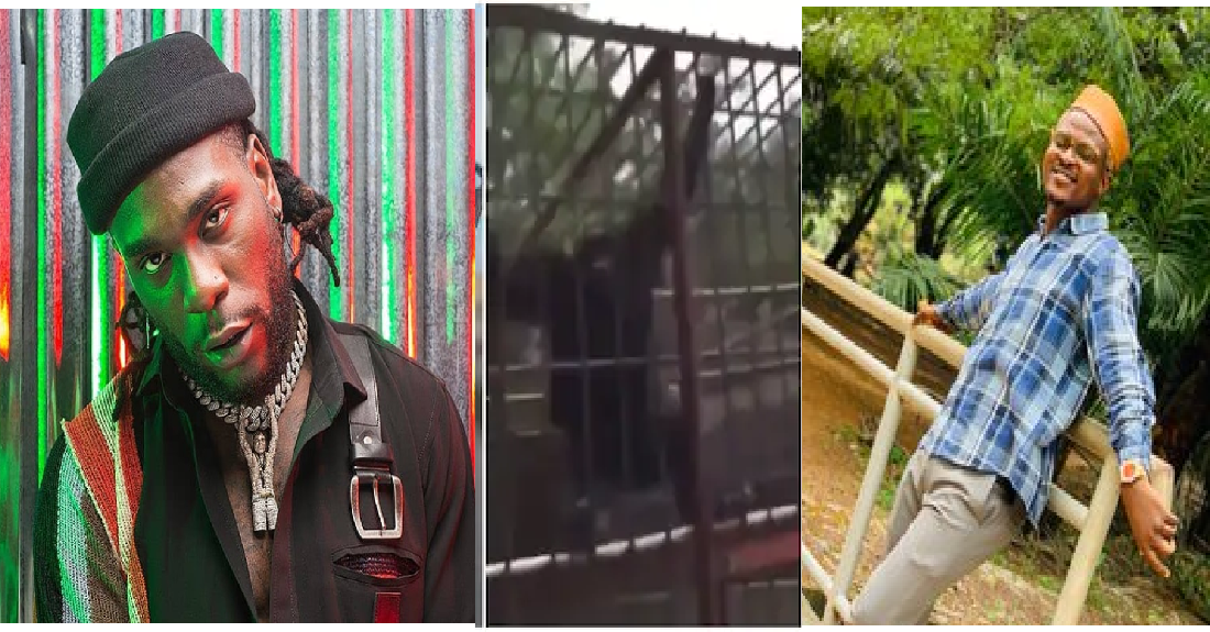 Burna Boy Reacts To Video Of Man Shouting His Name on Sighting Chimpanzee at Zoo