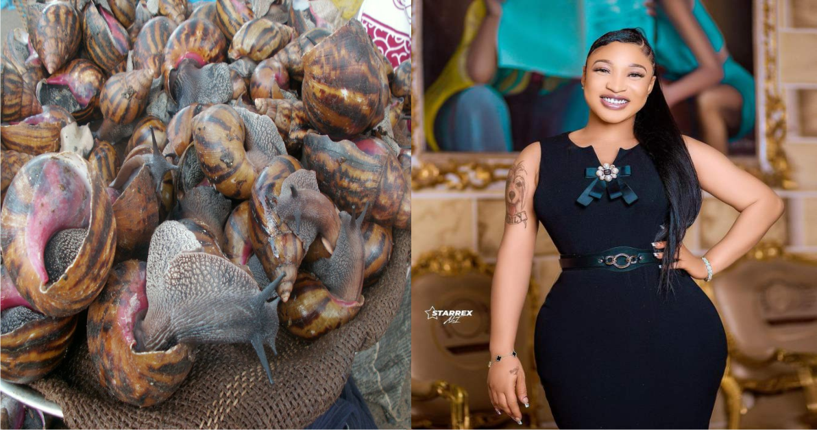 Tonto Dikeh Acquires A 'Snail Farm' As Birthday Gift - Says Its Her New Multi-million Investment