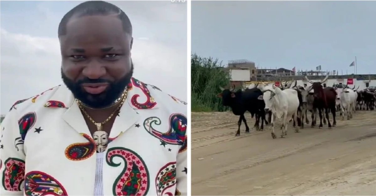 VIDEO: "These Are The Senior Citizens Of Nigeria" - Singer Harrysong tells Nigerians