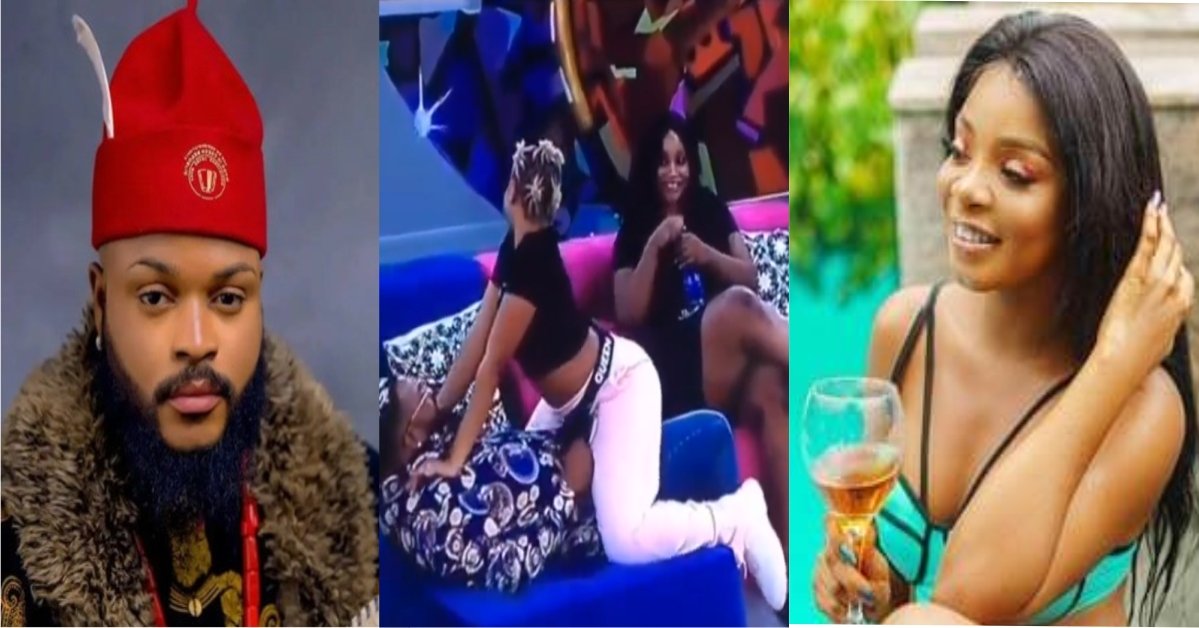BBNaija 2021 VIDEO: "Bia queen be careful" A fan Blast Queen for trying to S#duce Whitemoney