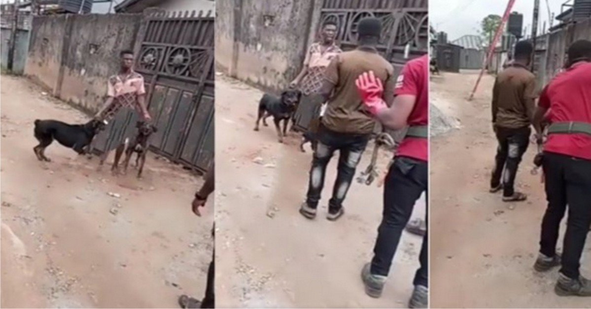 Moment Resident Chased Out PHCN Officials With Wild Dogs When They Tried To Disconnect Their Power(Video)