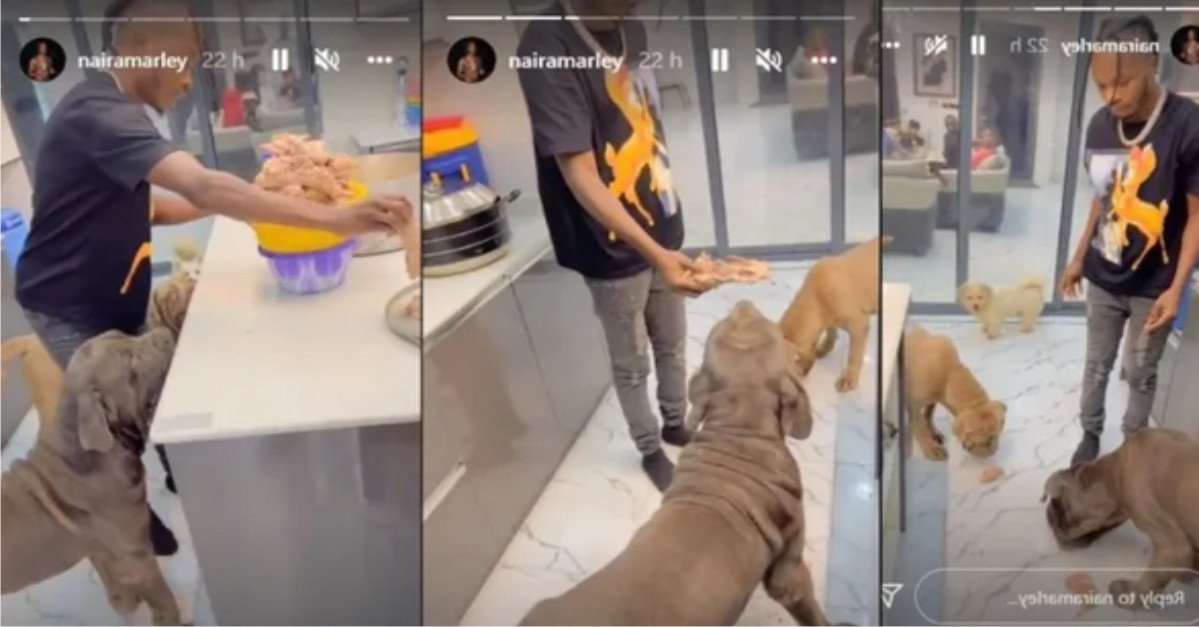 “Meat dey chop Meat” – Reactions As Singer Naira Marley Seen Feeding His Dogs A Mountain Of Hot Meat (Video)