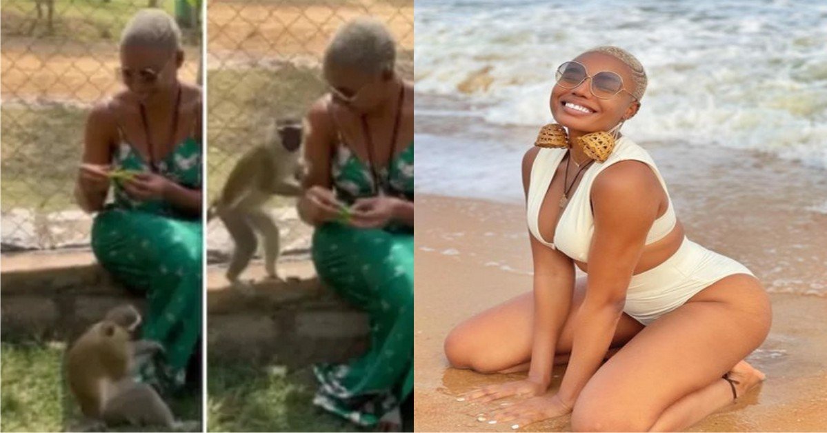 “He Wants To Bambam” – Hilarious Reactions As Monkey Tries To Get Under Nancy Isime’s Dress [VIDEO]