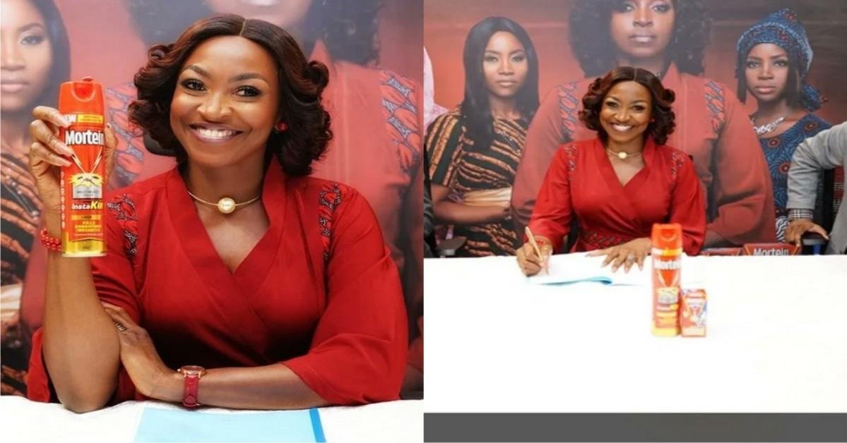 Kate Henshaw Bags Ambassadorial Deal With Mortein