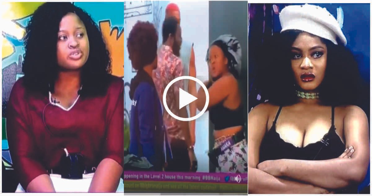 "I saw this coming.." - Reactions as BBNaija Amaka and Phyna Fight over Cleaning Space