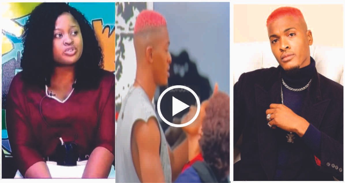 BBN Video: Checkout Amaka's Reaction As Phyna & Groovy Display Their Affection In The Kitchen