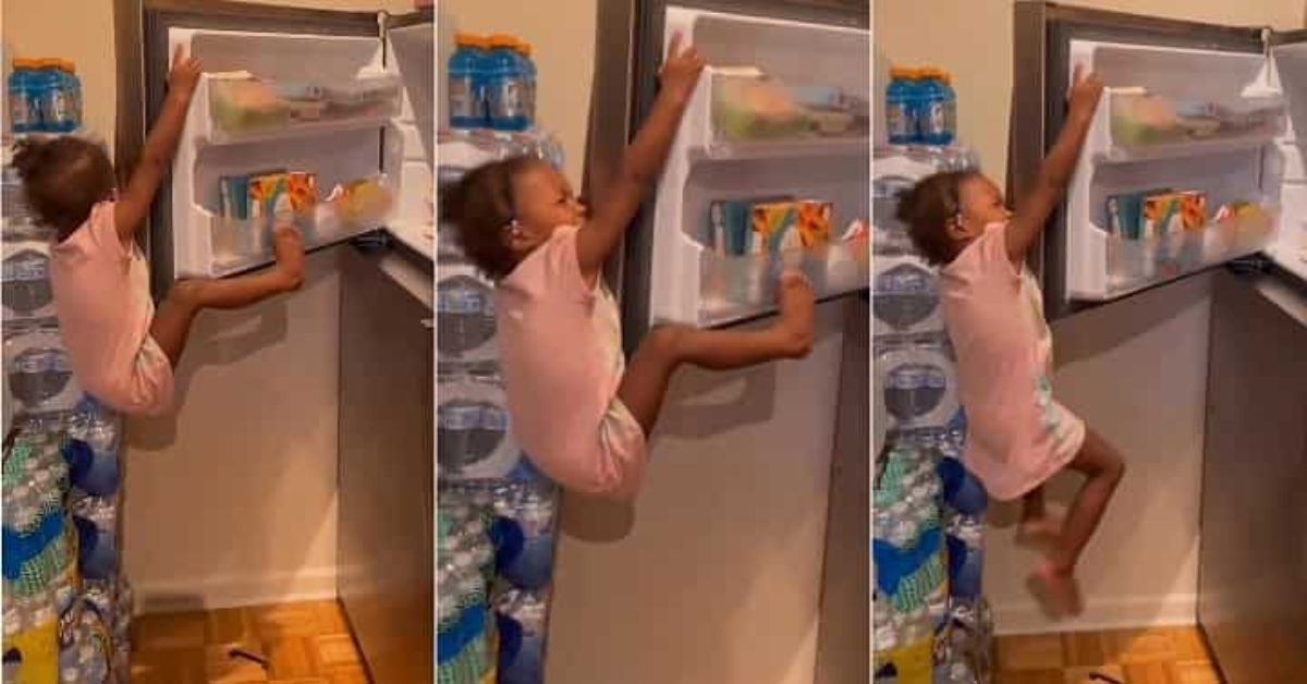 "How did she get up there?" Little girl cries out after getting stuck at the top of a fridge in attempt to steal snacks