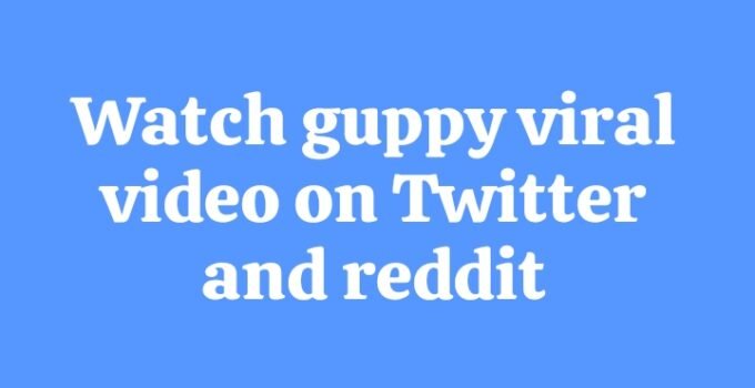 Watch guppy viral video on Twitter and reddit